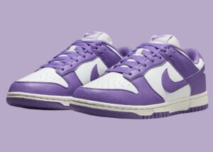 NIKE DUNK LOW NEXT NATURE “BLACK RASPBERRY” Release Date, How to get, price