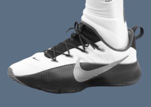 THE NIKE LEBRON TR 1 Release Date, How to Get, Price, Review