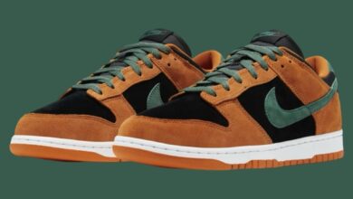 Nike Dunk Low Ceramic 2024 Review