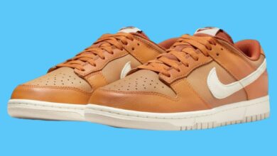 Nike Dunk Low “Monarch” Review, Release Date and Price