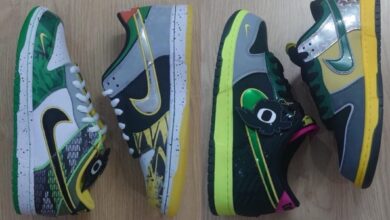 Nike Dunk Low “What The Ducks Of A Feather” Review