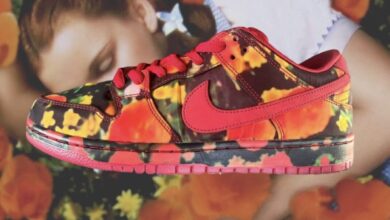 The Wizard of Oz x Nike SB Dunk Low Review, Release Date, Price