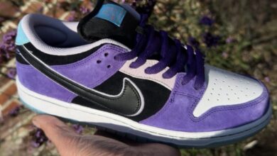 Hayley Wilson x Nike SB Dunk Low Review, Release Date and Price