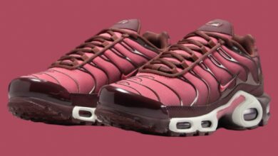 Nike Air Max Plus “Burgundy Crush” Review, Release Date and Price